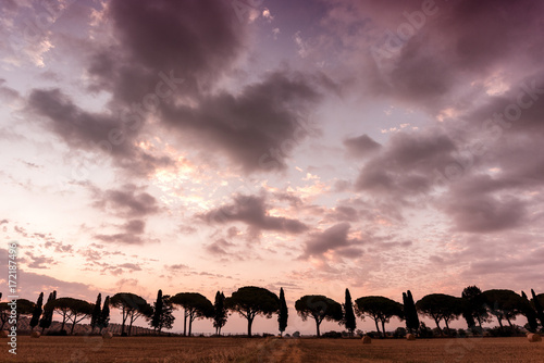 Tuscan Sunset