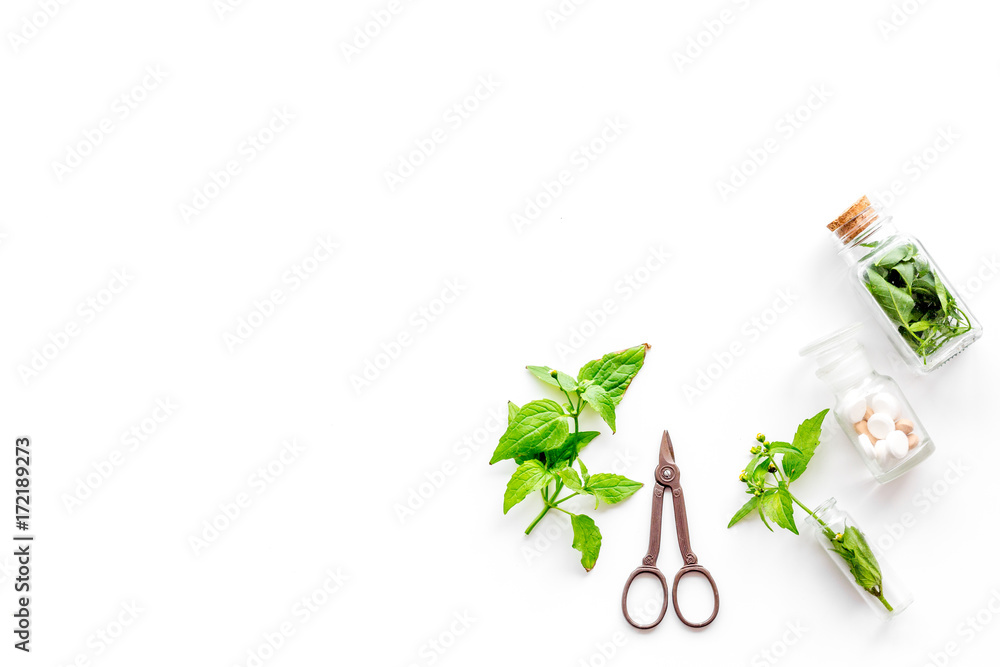 Plakat Harvest medicinal herb. Leaves, bottles and sciccors on white background top view copyspace