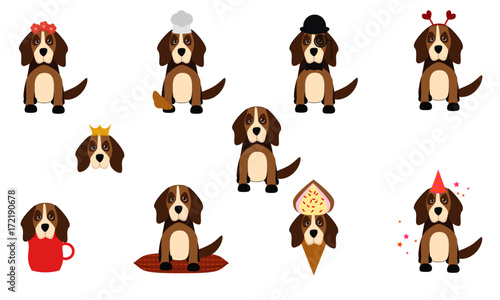 Beagles 