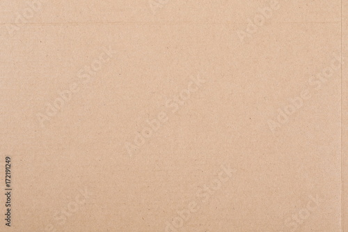 Torn cardboard background and texture