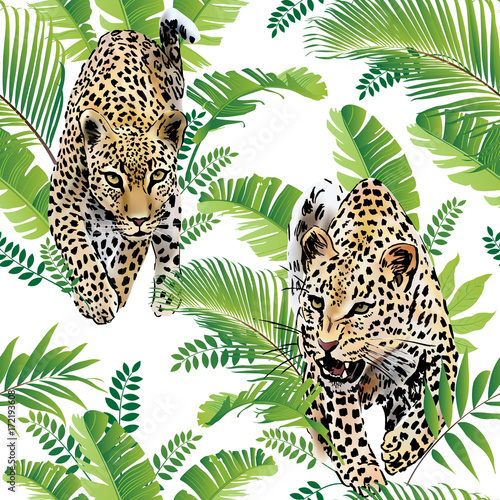 Leopards palm leaves tropical watercolor in the jungle seamless background