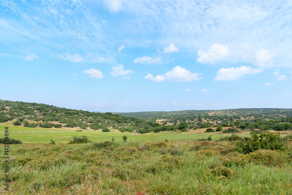 Judean Hills near Beit Shemesh