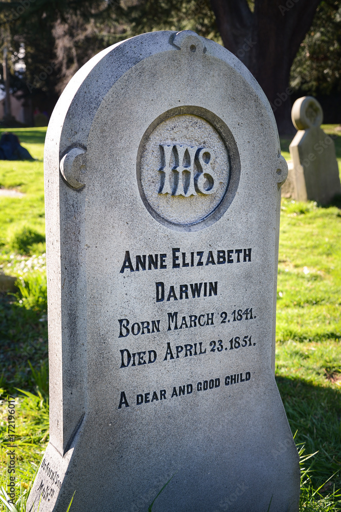 Grave of Charles Darwin