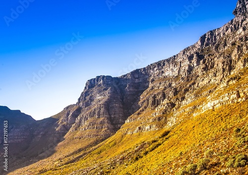 Landscape on top of the table mountain nature reserve in Cape Town at South Africa