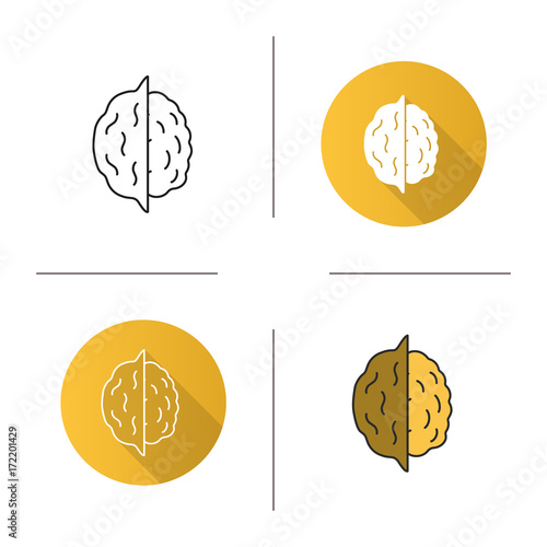 Opened walnut icon