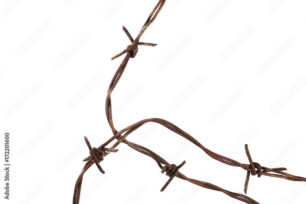 Fototapeta premium Old security barbed wire fence isolated on white background
