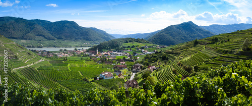 Wachauer Weinbergpanorama bei Spitz