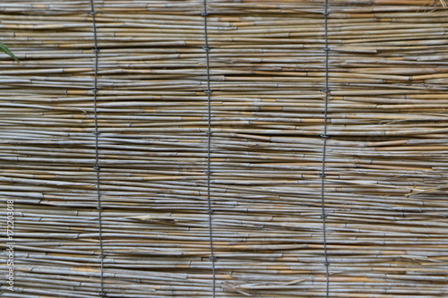 bamboo surface texture