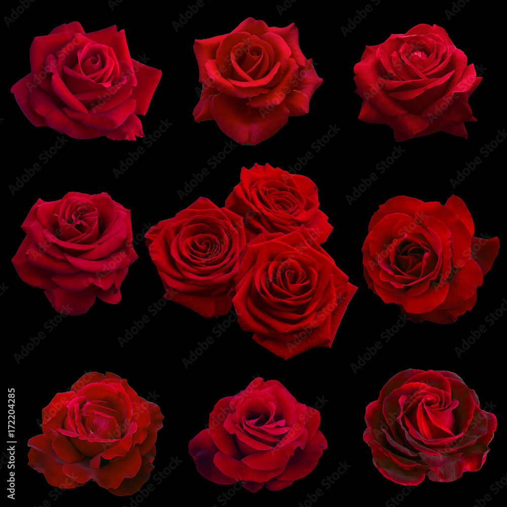 collage of red roses collage of red roses
