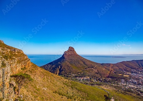 Landscape on top of the table mountain nature reserve in Cape Town at South Africa