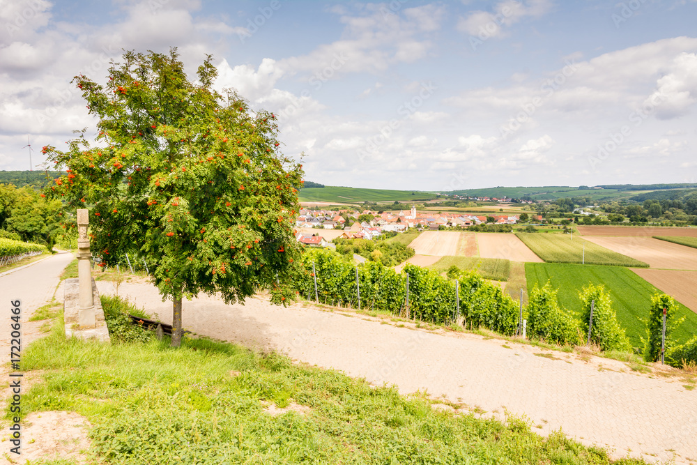 Wine-growing district in Franconia