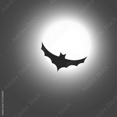 fledermaus im mondschein