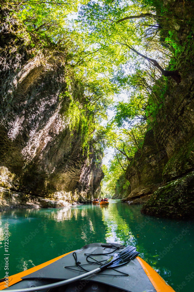 Fototapeta premium Forest river