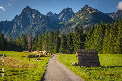 Fototapeta Naklejka Na Ścianę i Meble -  Bielovodska dolina - Tatra Mountains, Slovakia