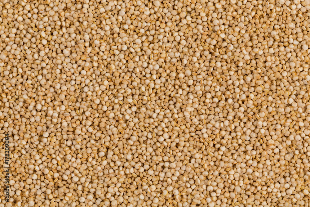 Quinoa seeds close up Quinoa seeds close up