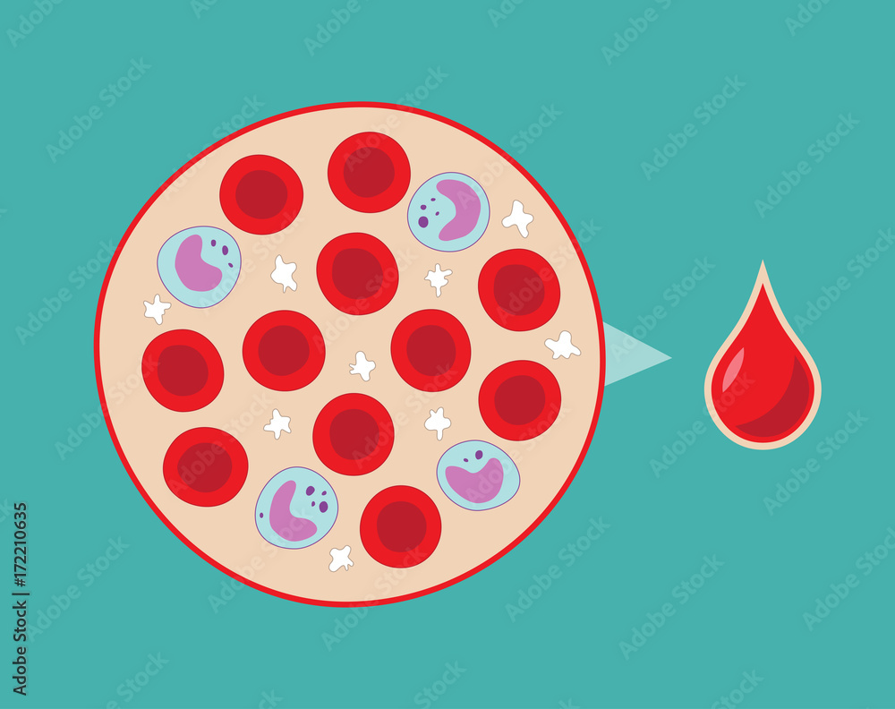 Hand drawn blood droplet and cells of the blood plasma red blood