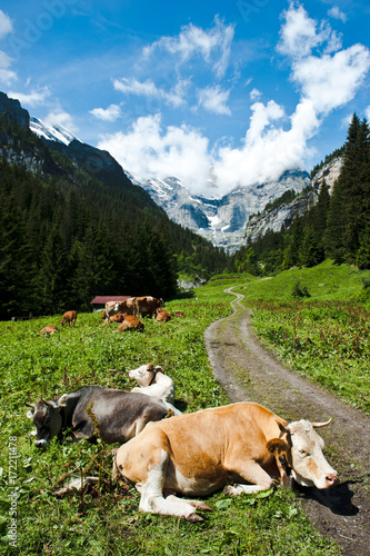 Im Sefinental  in der Gemeinde Lauterbrunnen im Berner Oberland