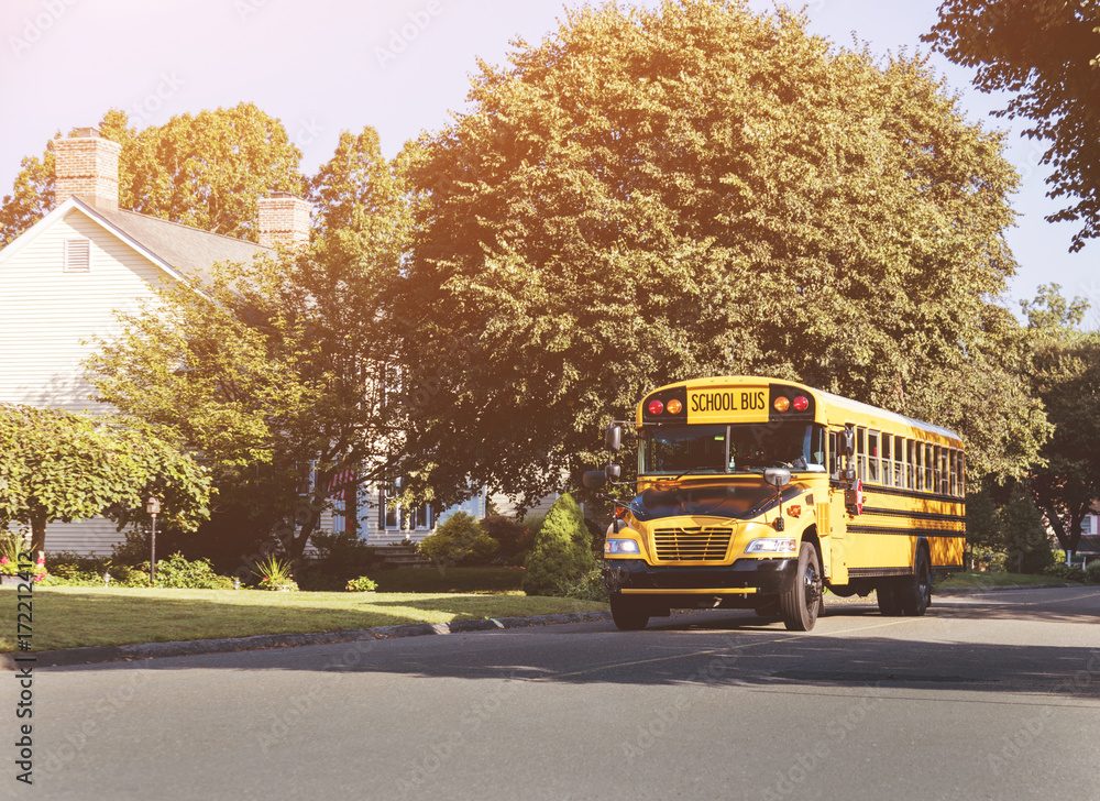 Fototapeta premium schoolbus