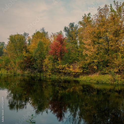 autumn deciduous forest on the river bank, landscape in the countryside.