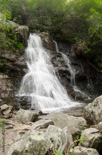 Fototapeta Naklejka Na Ścianę i Meble -  Summertime morning view of a small waterfall in the Talladega National Forest near Ashville and Lineville, Alabama, USA