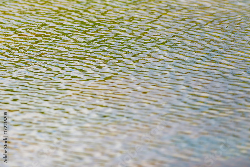 Ripples on a green water su...