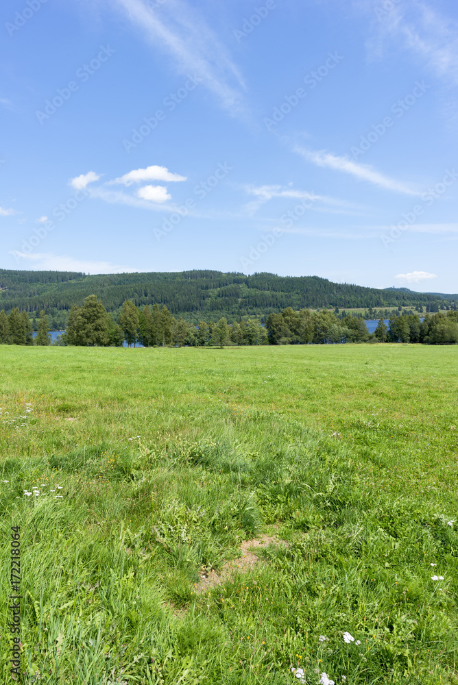 The Schluchsee lake in the German Black Forest