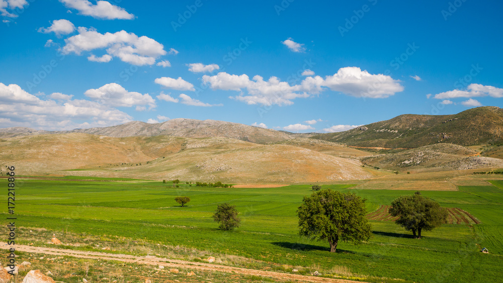 Amazing green fields and hills. Turkey