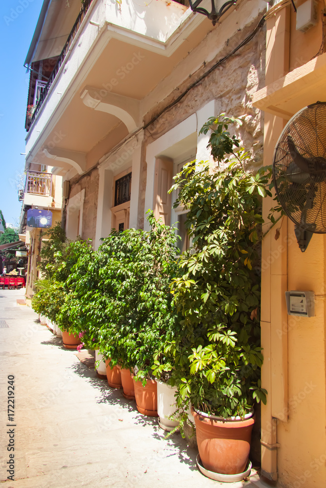 Plants in the pots on a narrow street of the old town of Rethymno. Crete, Greece