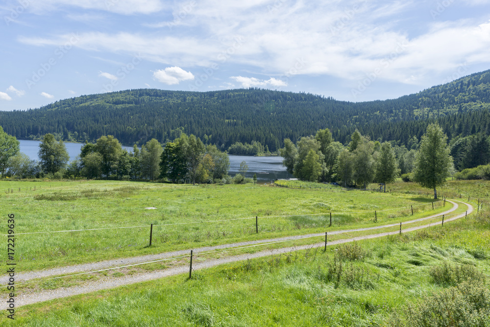 The Schluchsee lake in the German Black Forest The Schluchsee lake in the German Black Forest
