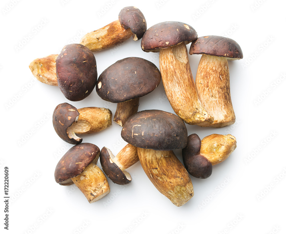 Fototapeta premium Fresh boletus mushrooms.