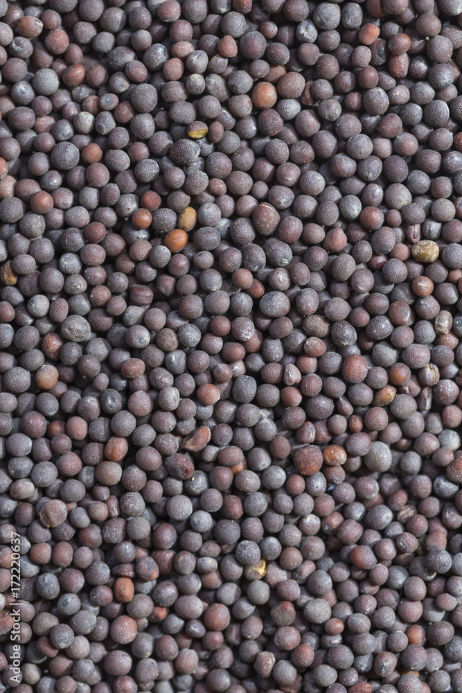 Black mustard seeds Black mustard seeds