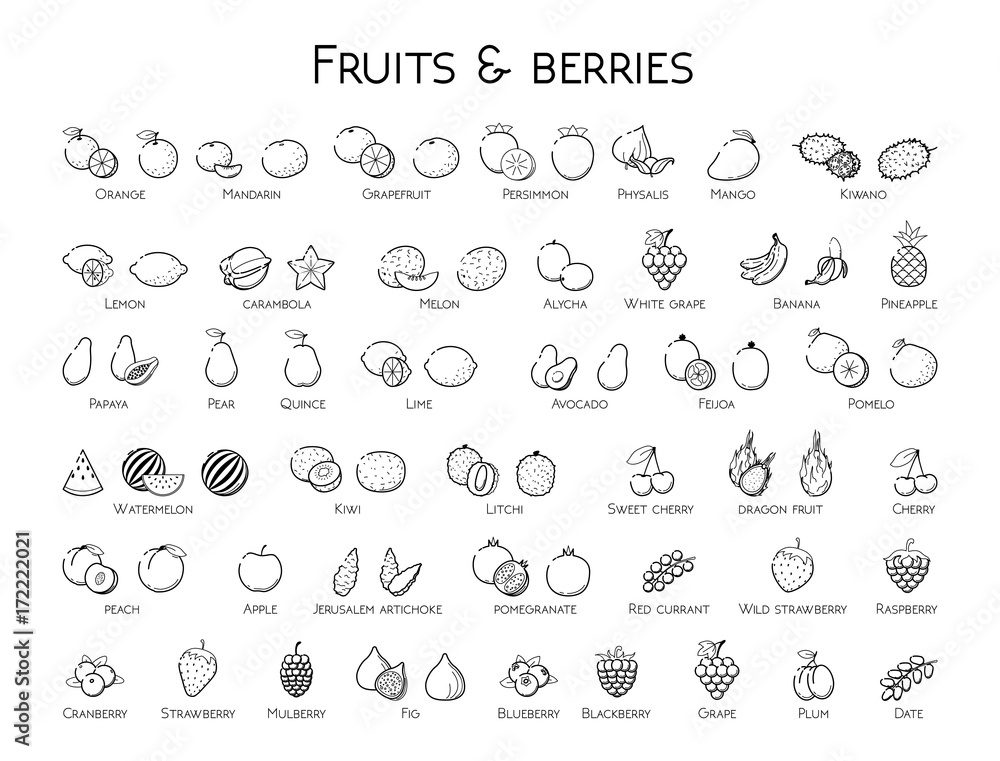 Outline black linear web icon set - Fruit & berries Thin bold Line food Icons For logo, label Orange banana melon apple, blueberry, pineapple pomelo, kiwi peach, fig kiwi, tropical collection on white