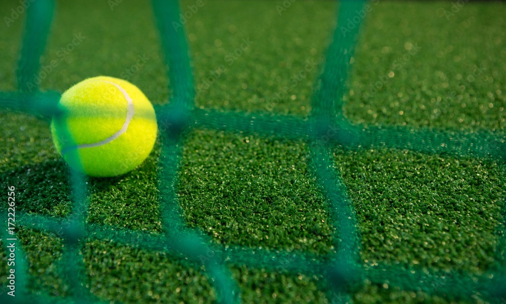 Close up of tennis ball seen through net