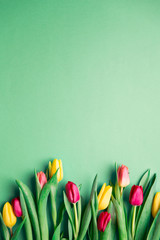 Tulips
