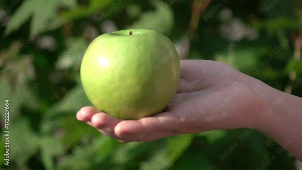 High quality video of hands holding apple in real 1080p slow motion 250fps High quality video of hands holding apple in real 1080p slow motion 250fps
