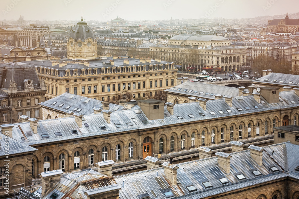 Spectacular image of Paris roofs from Cathedral Notre-Dame de Paris