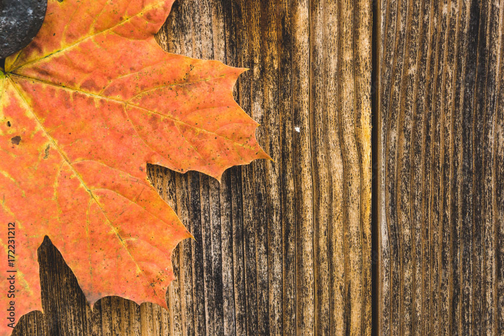autumn maple leaf on a wooden surface, background, copy space autumn maple leaf on a wooden surface, background, copy space