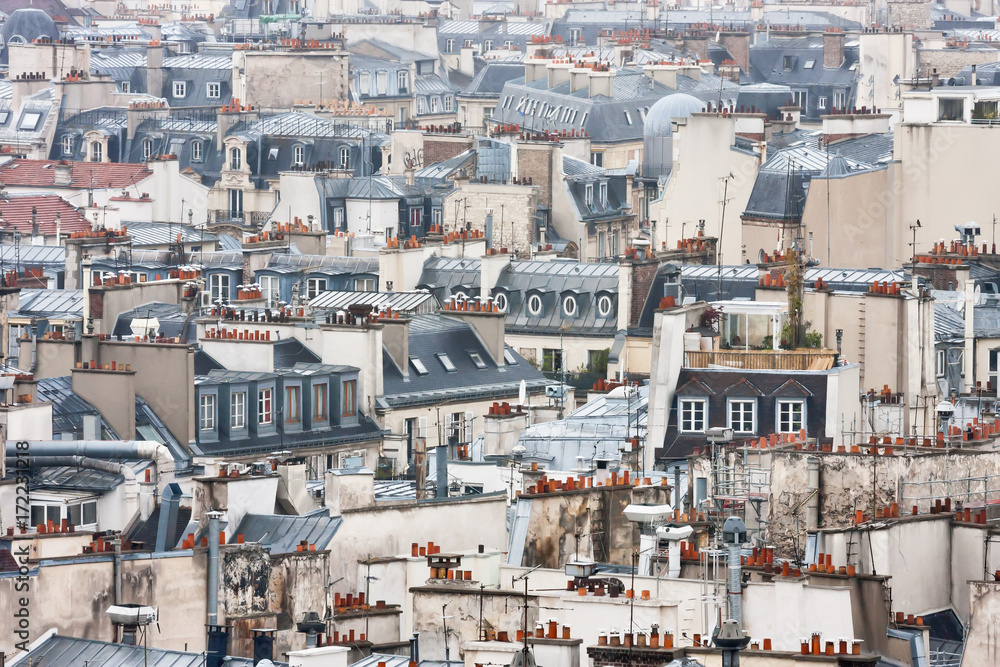 Variety of Paris roofs