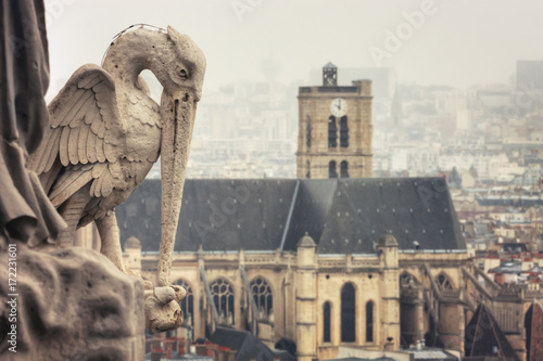 View from Tower of Notre-Dame de Paris