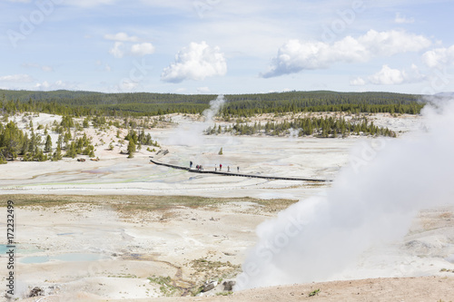 Norris Geyser Basin in the Yellowstone National Park photo