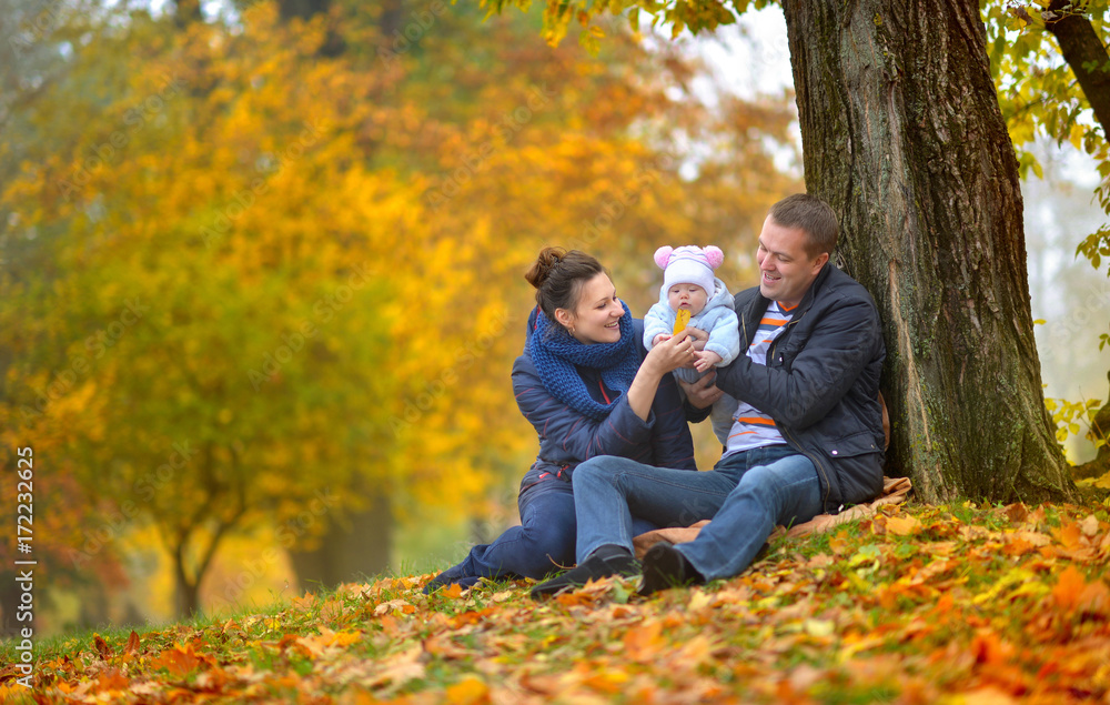 happy family walks in a beautiful autumn park, collect fallen leaves happy family walks in a beautiful autumn park, collect fallen leaves