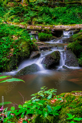 Nagelsteiner Wasserfälle im Bayerischen Wald bei Sankt Englmar 4