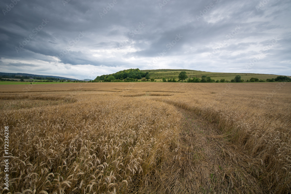 Crop circle in the field below Battlesbury Hill, Wiltshire, England