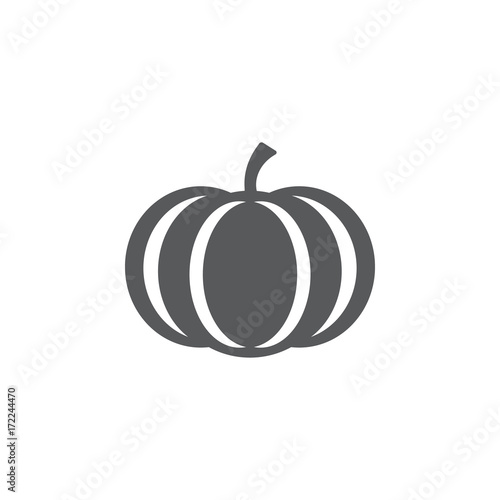 Pumpkin icon vector