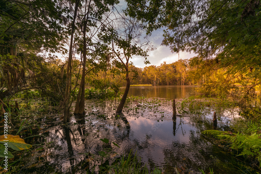 Silver Springs State Park Florida Scenic