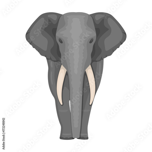 The elephant, the biggest wild animal. African elephant with tusks single icon in cartoon style vector symbol stock illustration web.