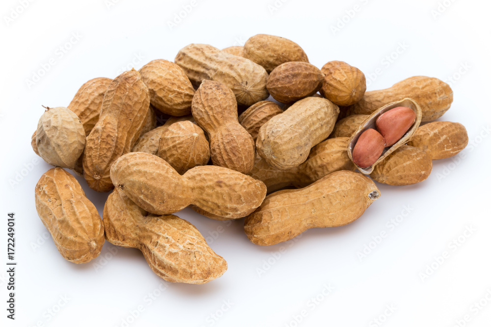 Dried peanuts on the white background. Dried peanuts on the white background.