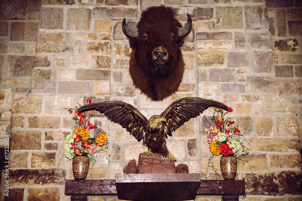 Stuffed bison head and bald eagle at the Giant City Lodge in Makanda, Illinois.