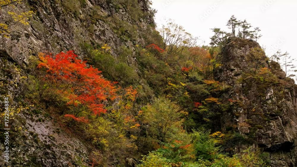 Autumn, beautiful leaves of the juwang mountain valley. Autumn, beautiful leaves of the juwang mountain valley.