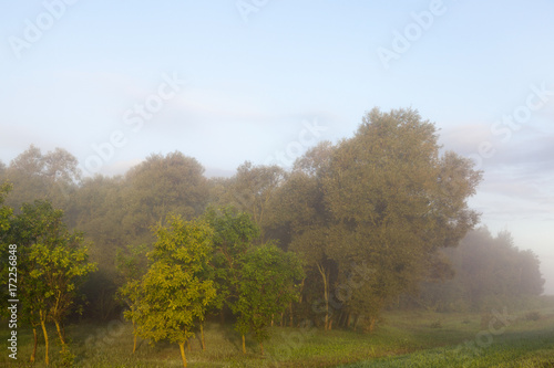 Fog mist landscape